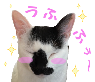 開発者 aQuin